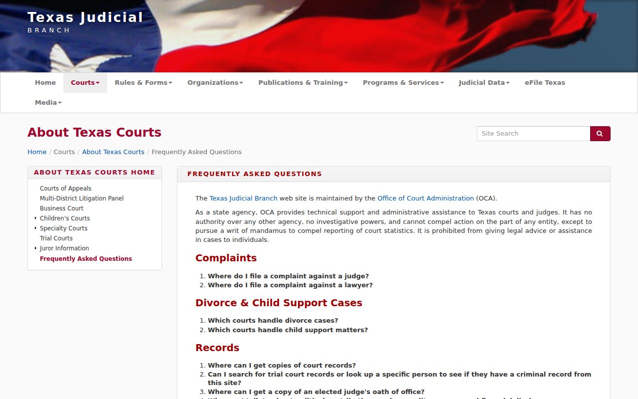 Texas criminal court case search guidance