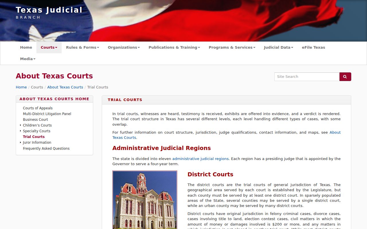 Texas criminal court case trial court structure