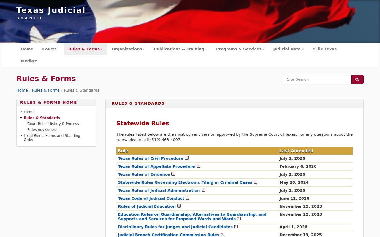 Texas criminal court record access standards